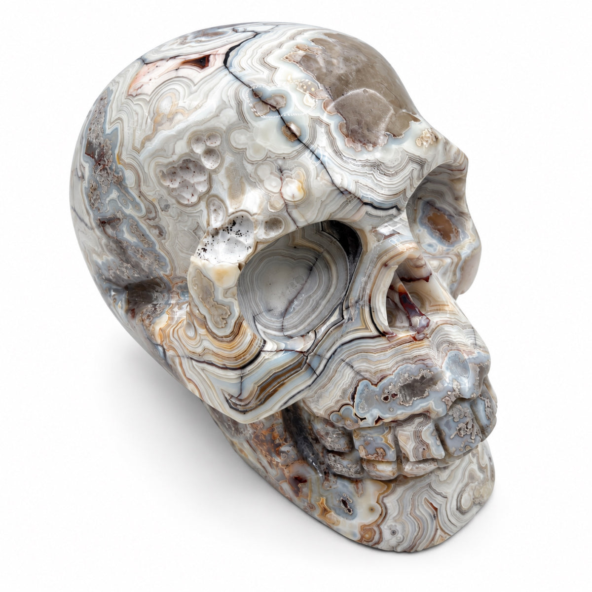 Skull