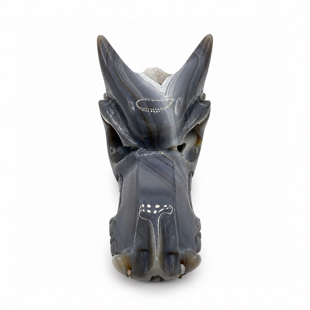 Banded Gray Stone Dragon Head with Crystal Cavity
