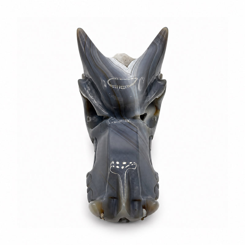 Front view of a polished gray stone dragon head with two long horns, white bands, and an elongated carved snout.
