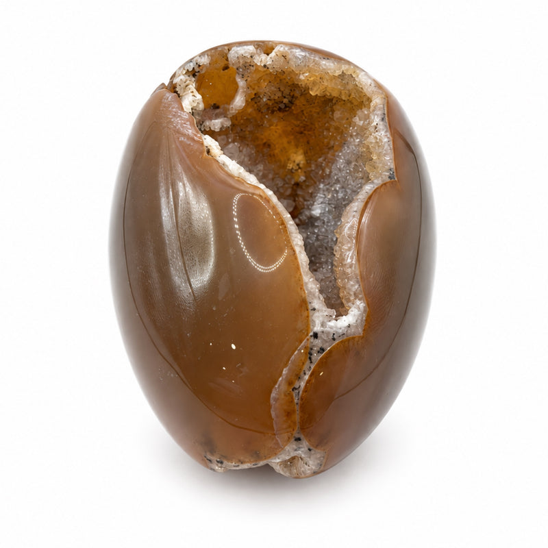 Upright view of a brown stone egg with an elongated crystal-lined cavity and an orange-brown interior.