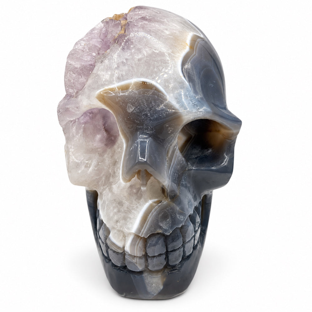 skull3