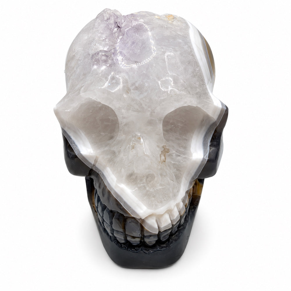 skull4