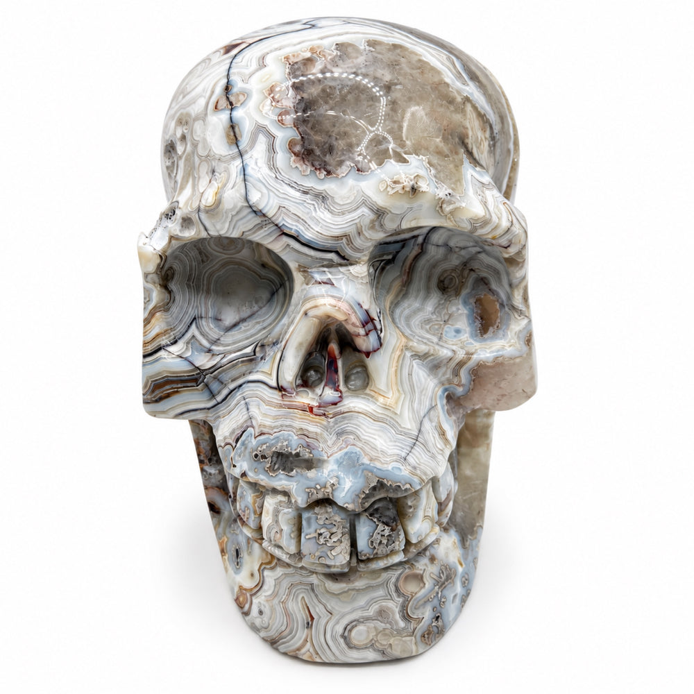 Skull