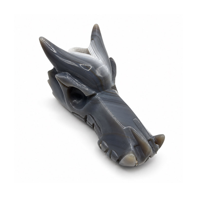 Polished gray stone dragon head facing right in three-quarter view, showing two long horns, a deep eye socket, and white crown bands.
