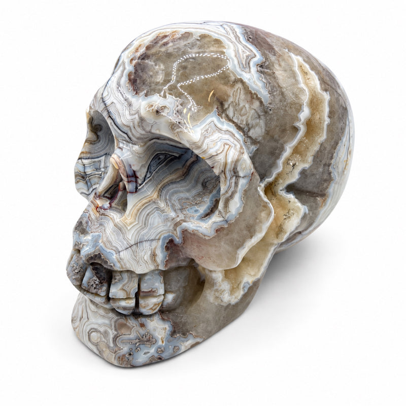 Skull