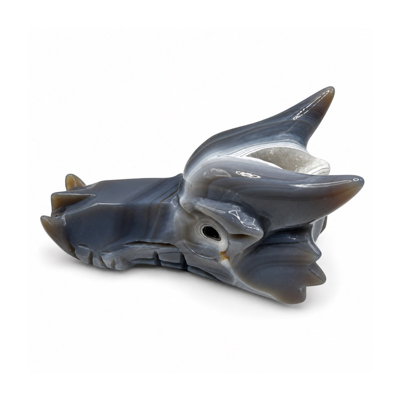 Left-facing profile of a gray stone dragon head with long horns, pale bands, and a small opening inside the eye area.