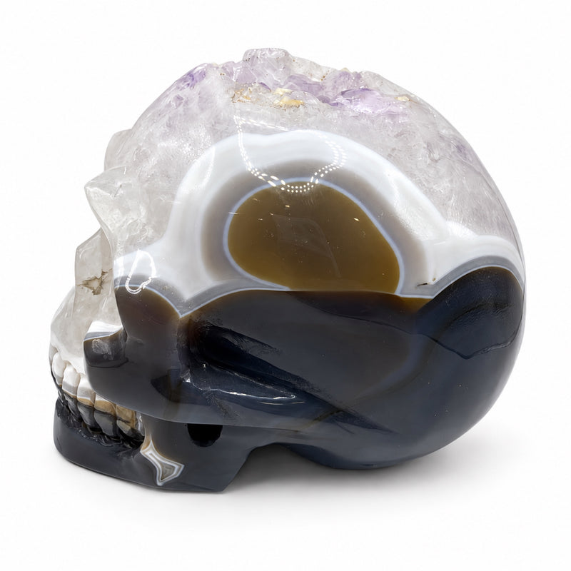 skull4
