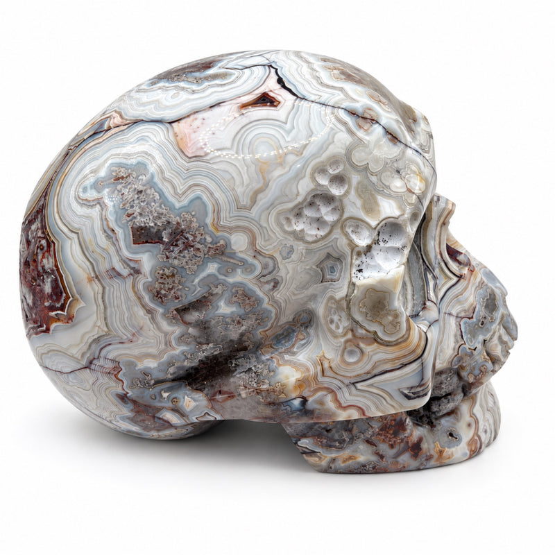 Skull