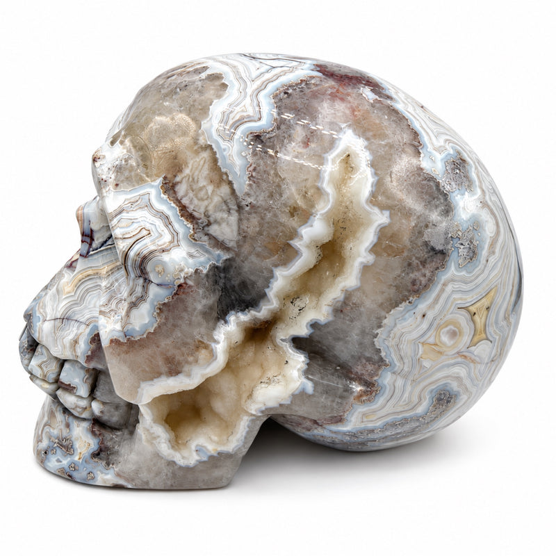 Skull
